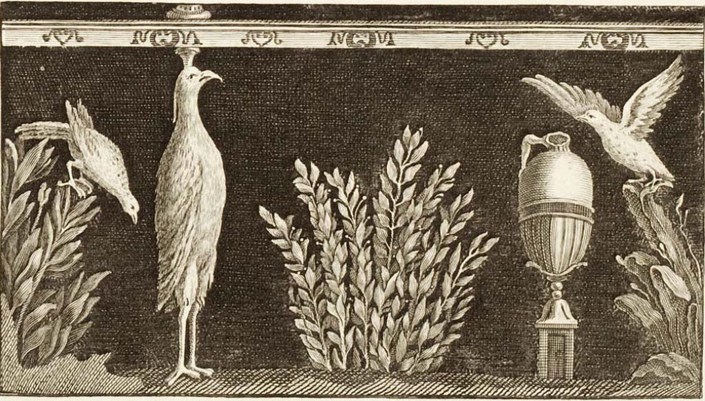 Ins. Or. II, 1a, Herculaneum. Three birds and a vase. One of three frescoes found in the Scavi di Portici, 1752.
Now in Now in Naples Archaeological Museum. Inventory number 8758.
See Le Antichità di Ercolano esposte Tomo 2, Le Pitture Antiche di Ercolano 2, 1760, Tav. 49, 265.